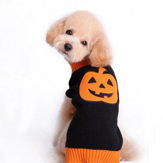 Spooky Pumpkin Pup Sweater-0